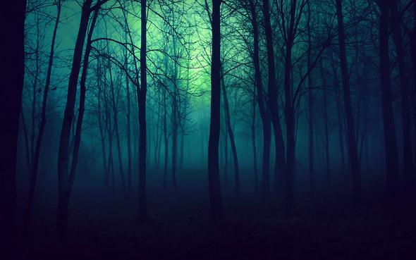 Dark Forest - (Musik, Hintergrundmusik, Instrumental Musik)