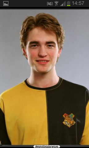 so einen Pullover meine ich - (Harry Potter, Hogwarts)