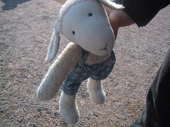 Bild von meinem Schaf - (kuscheltier, Schafe, Sigikid)
