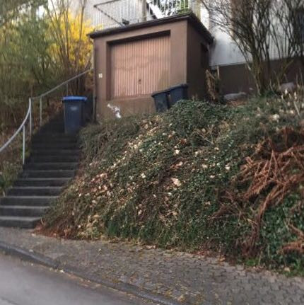 Witziger Text - (Bilder, Text, lustig)