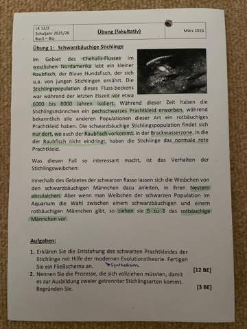 Bild zum Beitrag