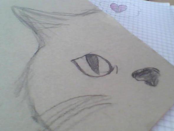 Katze (5 Klasse) - (zeichnen, malen, Förderung)