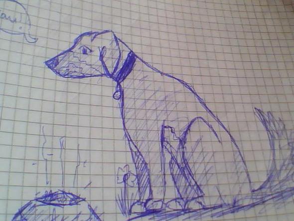 Hund (5 Klasse) - (zeichnen, malen, Förderung)