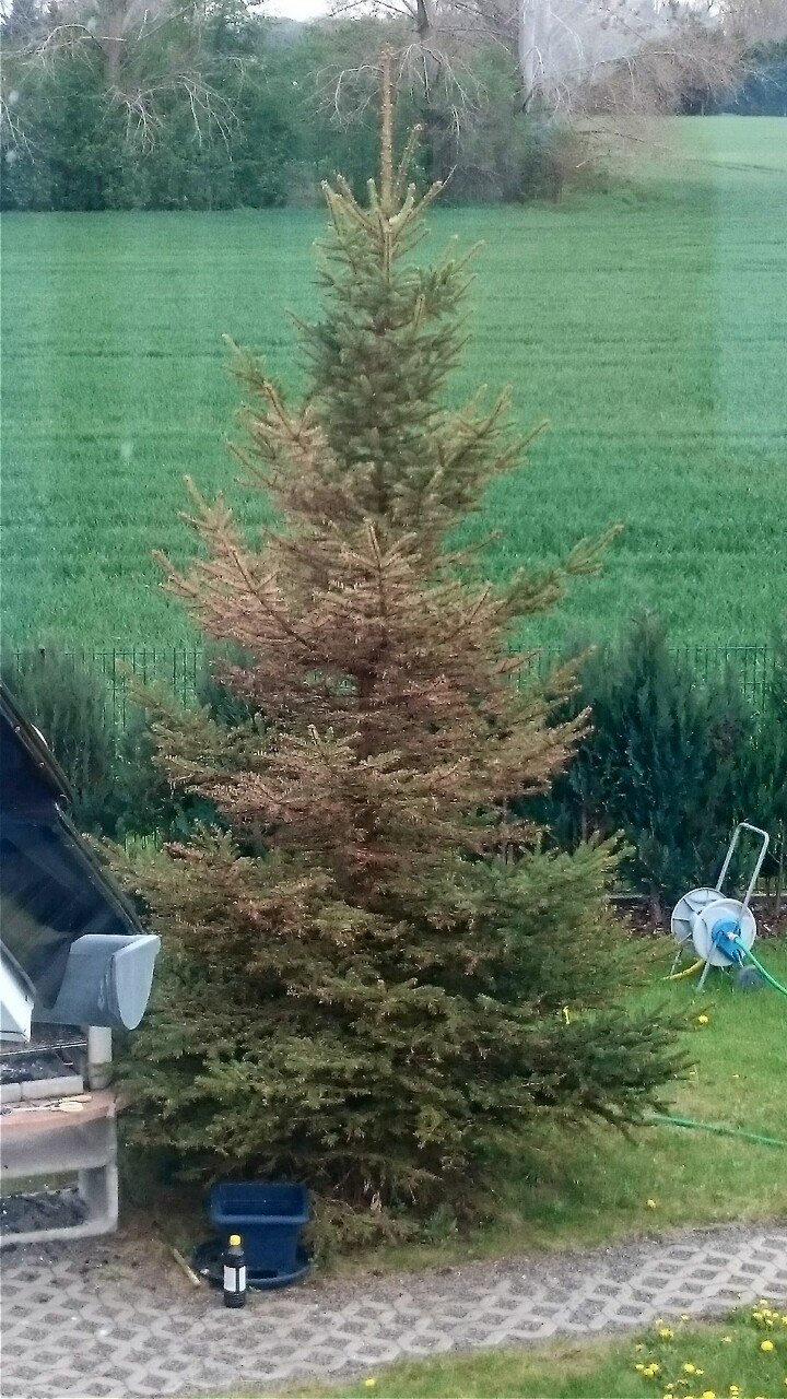 Mein profil anzeigen Mein profil anzeigen