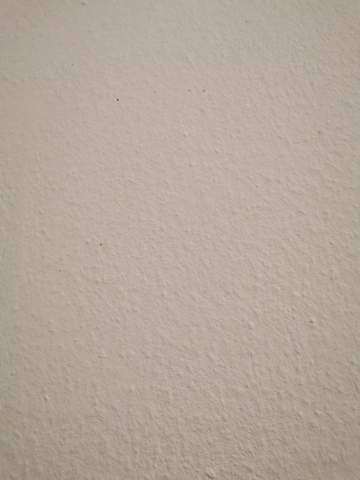 - (Handwerk, Zimmer, Wand)