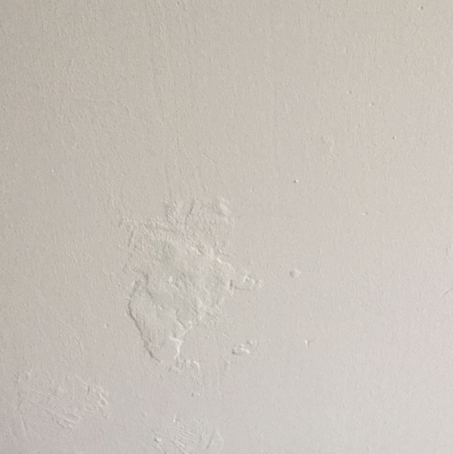 tapezieren obwohl farbe auf den putz ist wand maler streichen