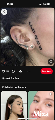 Bild zum Beitrag