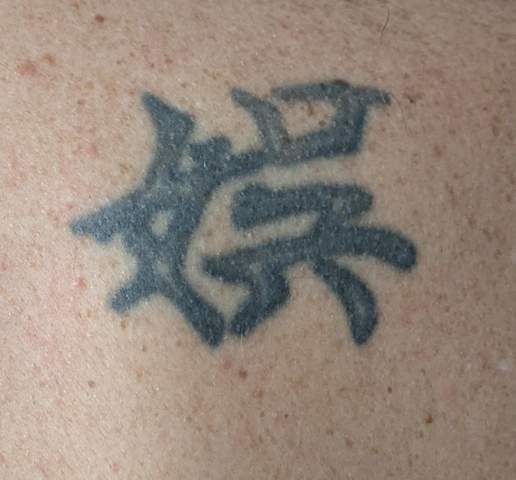 Bild zum Beitrag
