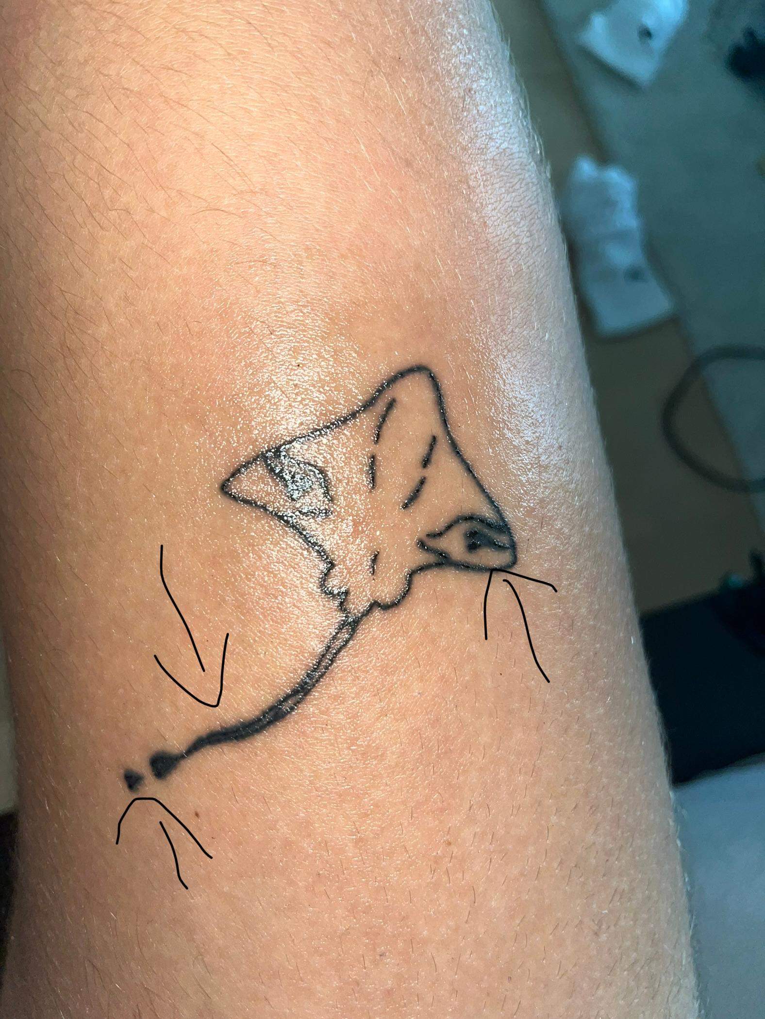 Tattoo Blowout oder noch Heilungsprozess? (Pflege, tätowieren, Tattoostudio)