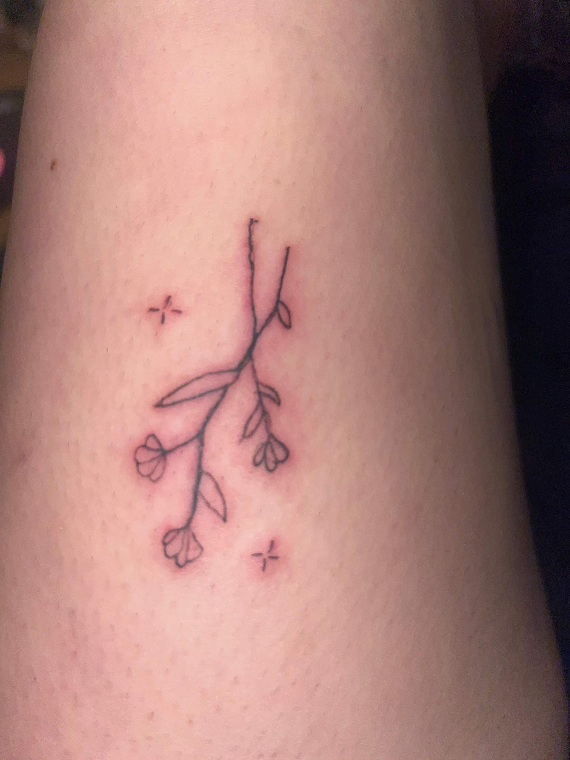 Tattoo entzündet oder zu tief gestochen? (Körper, Pflege, Entzündung)