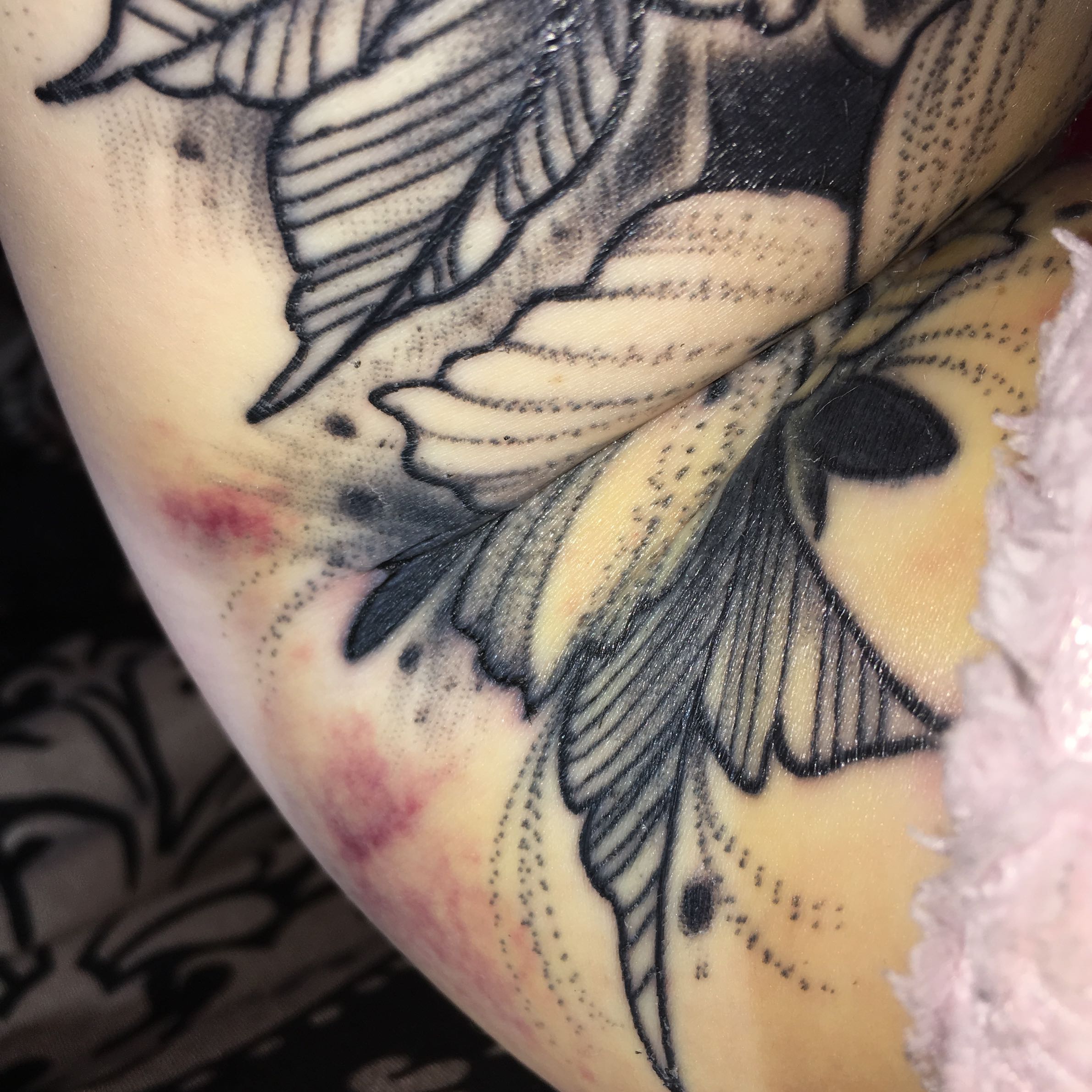 tattoo schriftzug armbeuge