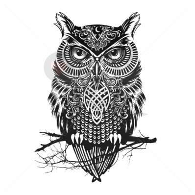 Zeit nehmen für die Entscheidung: Die Bedeutung von Eulen-Tattoos sorgfältig abwägen Zeit nehmen für die Entscheidung: Die Bedeutung von Eulen-Tattoos sorgfältig abwägen