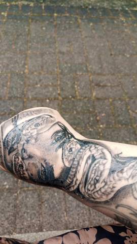 Bild zum Beitrag