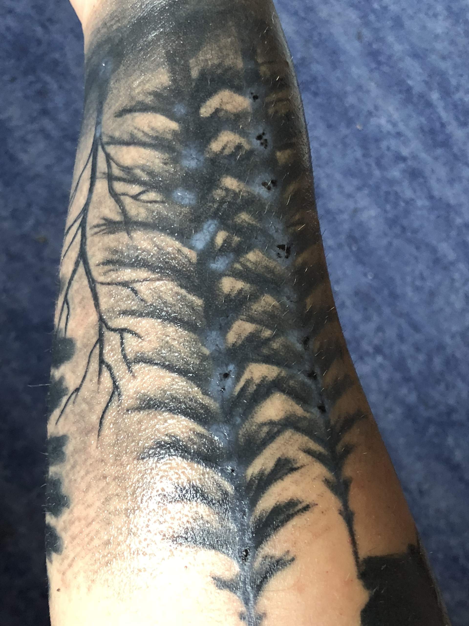 Tattoo guter Heilungsprozess? (Hautpflege)