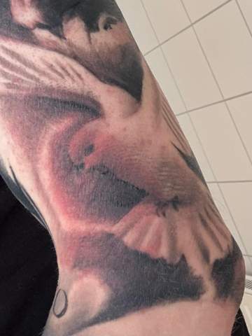 Bild zum Beitrag