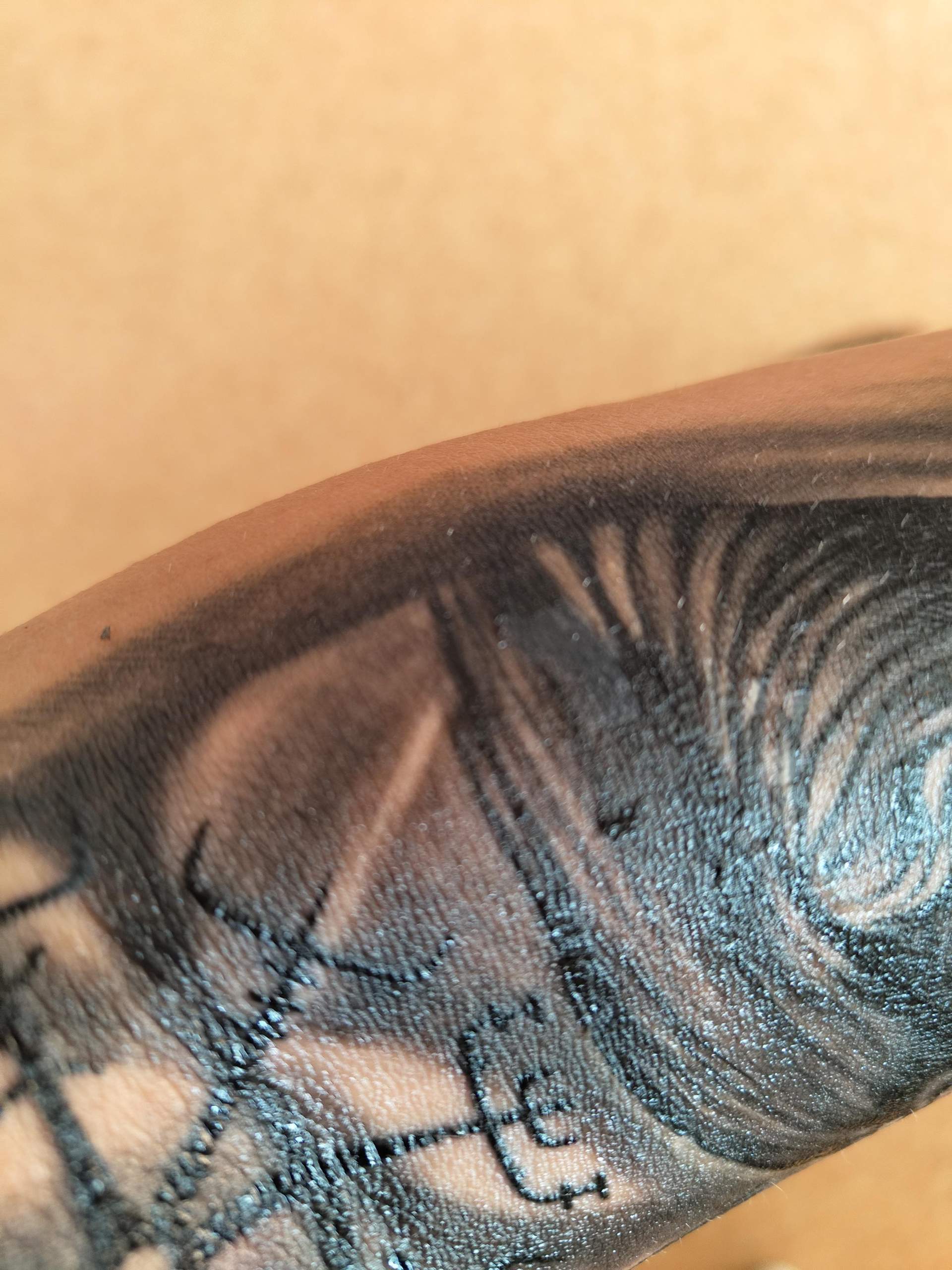 Tattoo Kruste? (Tattoopflege)