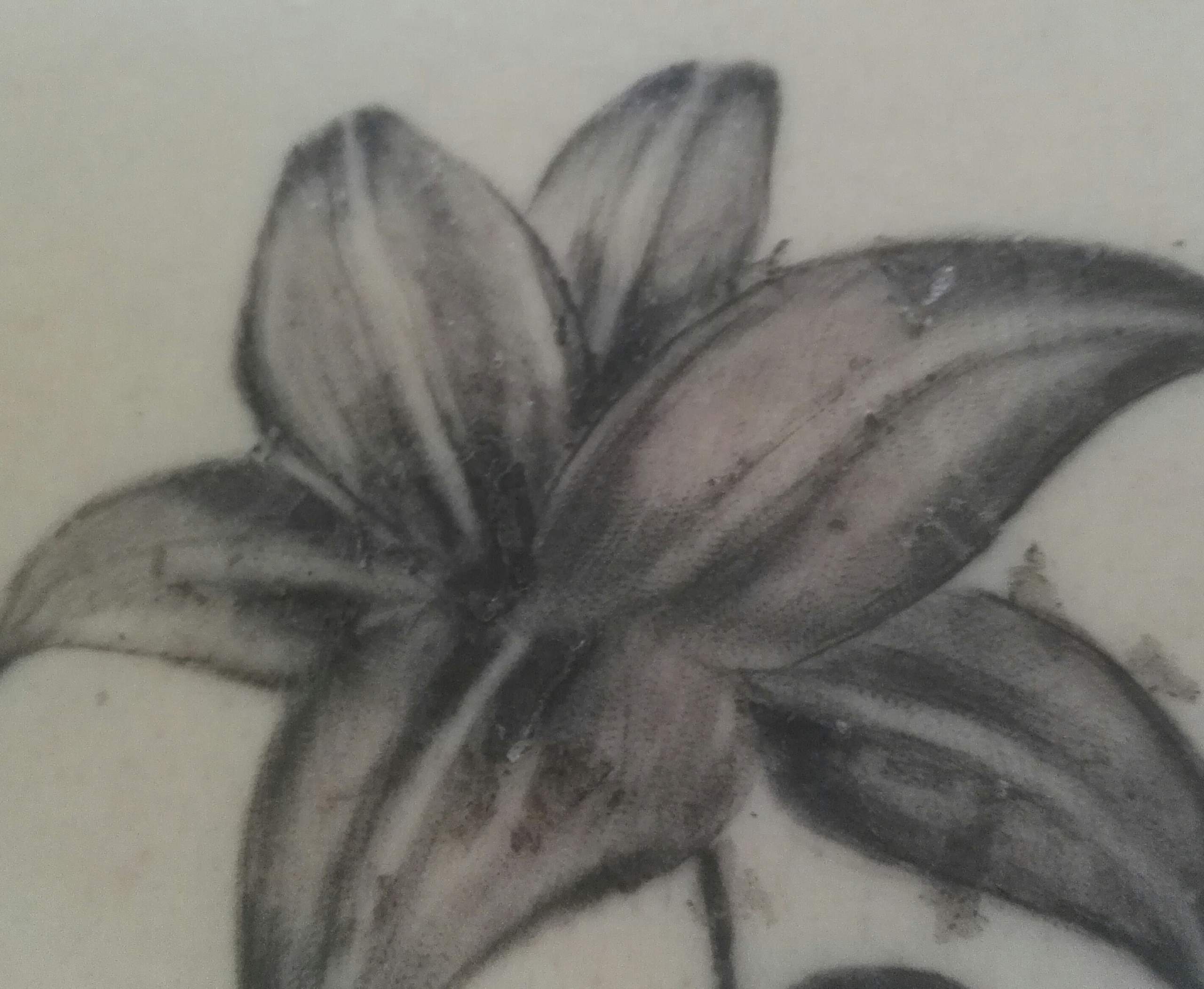 Tattoo kurz nach dem stechen verblasst? (Tätowierung)