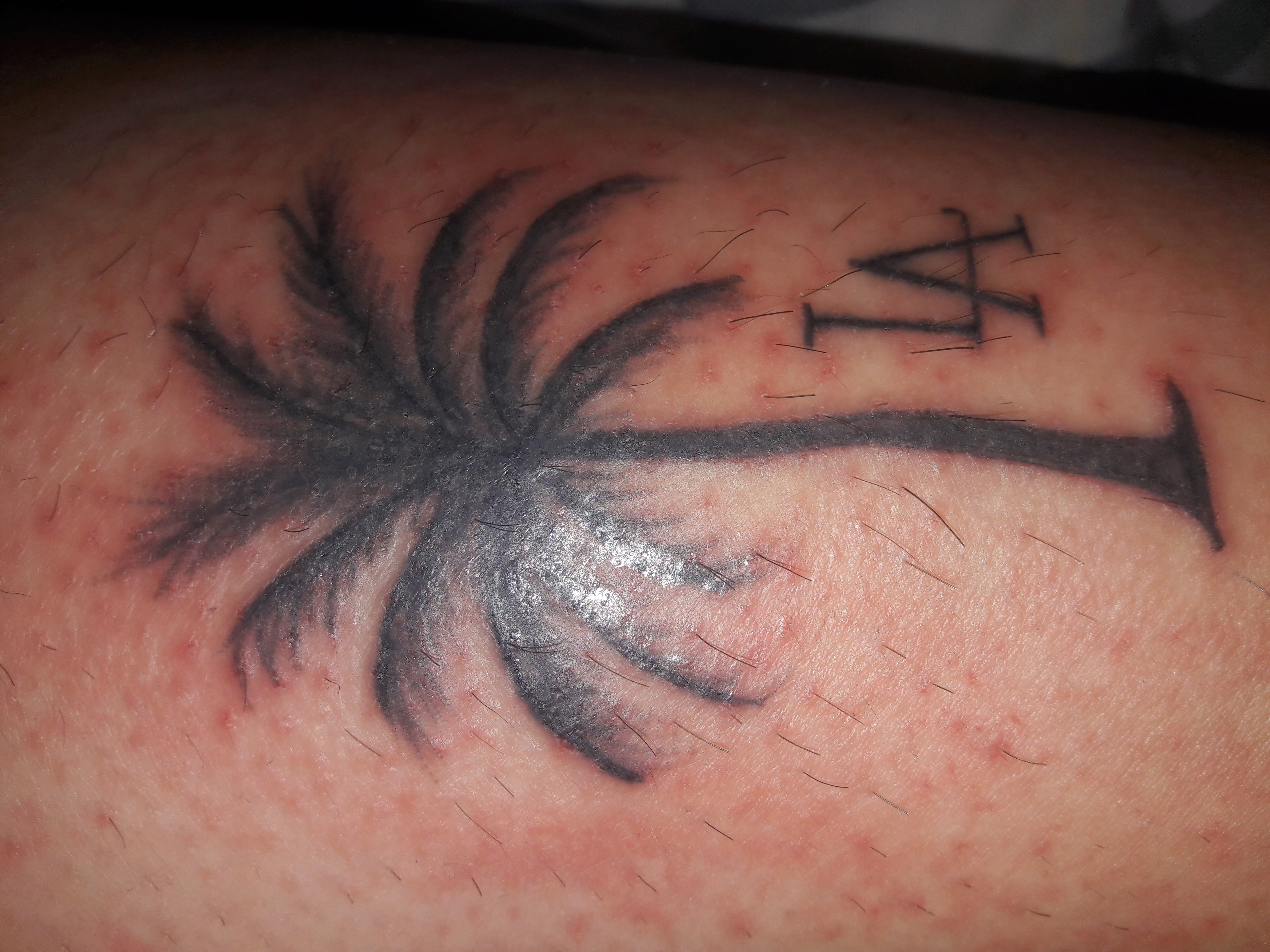 Tattoo Behandlung Nach Stechen / snake33 Snake Aufriss 1. Tag nach dem