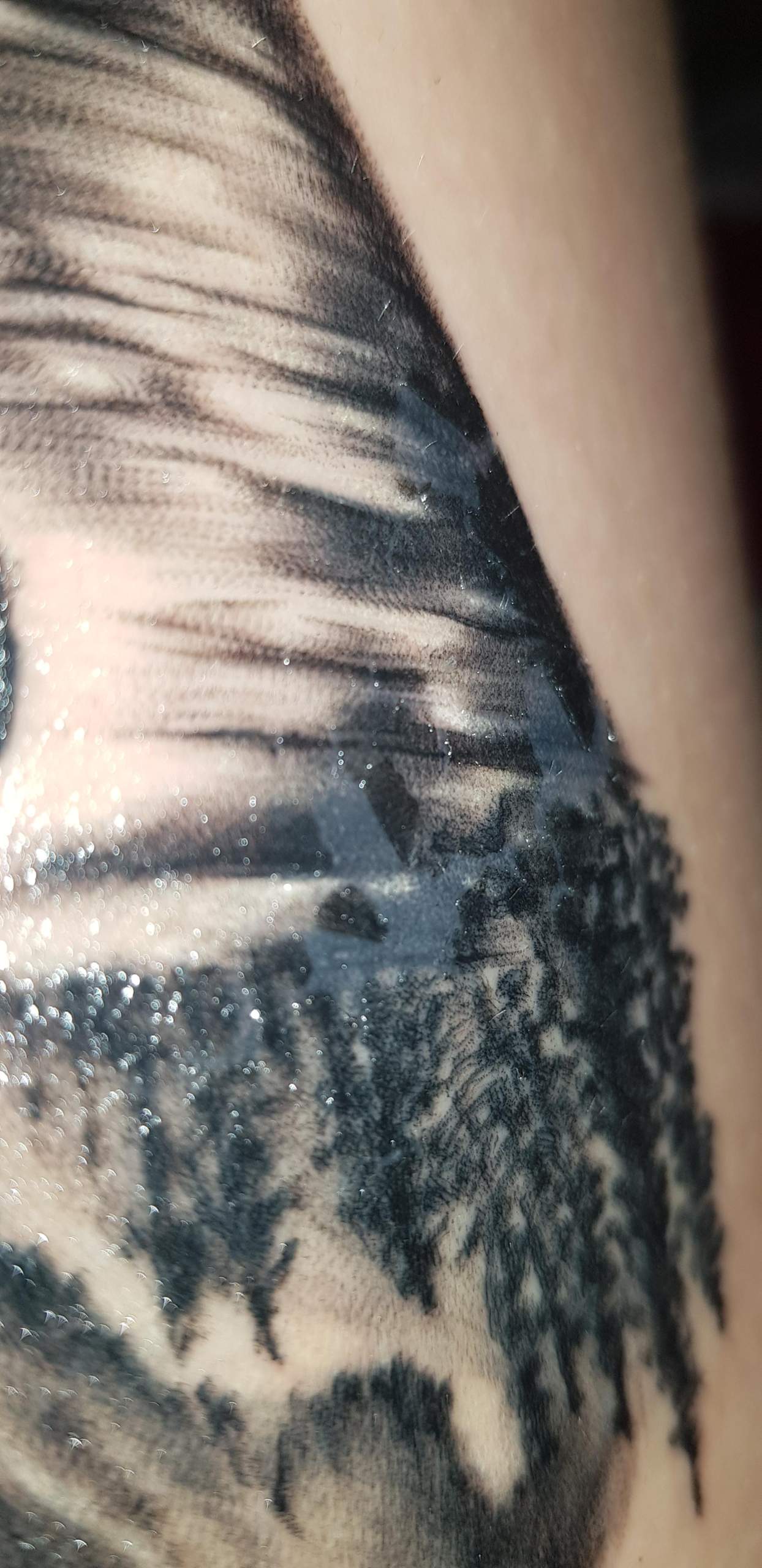 Wie Lange Pellt Sich Die Haut Nach Tattoo Tattoo pellt sich sehr stark? (Haut, Kruste, silberhaut)
