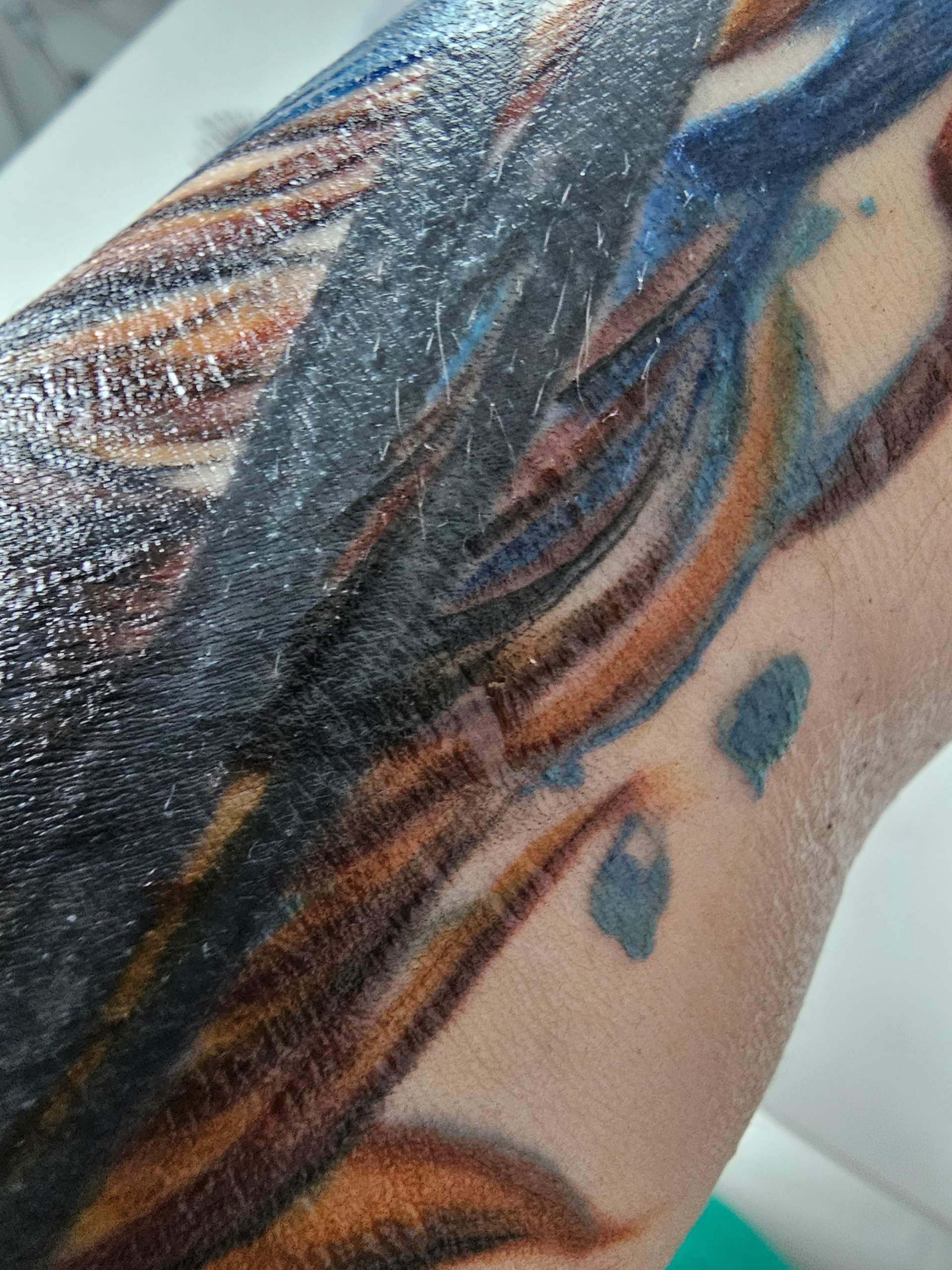 Was Entzieht Dem Tattoo Die Farbe Tattoo schält sich samt farbe? (Körper, Aussehen, Pflege)