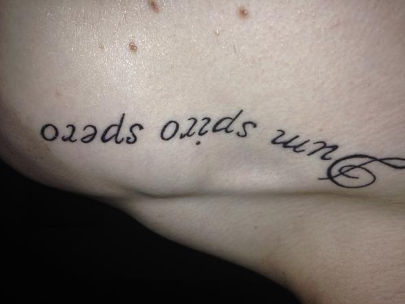 Tattoo fern - (Tattoo, Heilung)