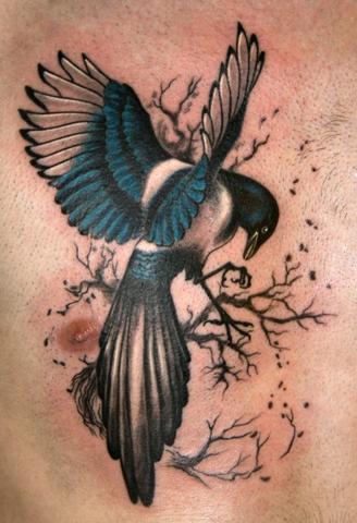 Vogel - (Tattoo, Vögel)
