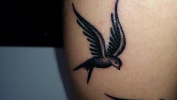 tattoo - (Tattoo, trockene Haut, Tattoopflege)