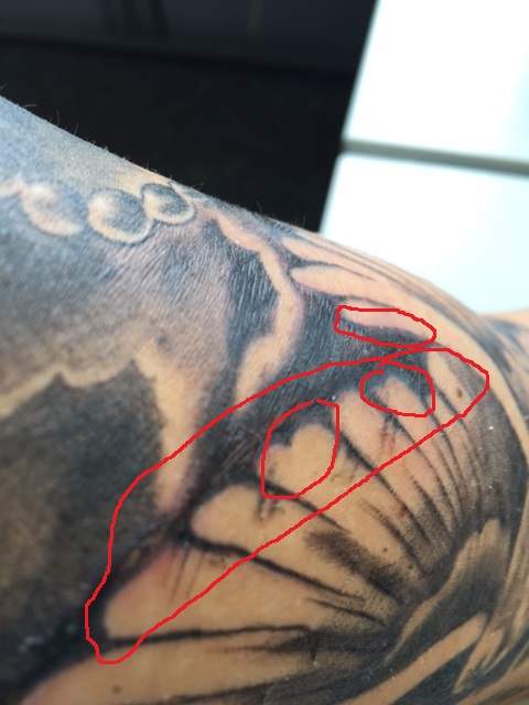 Woran Erkenne Ich Dass Mein Tattoo Abgeheilt Ist Geritzte Tattoos