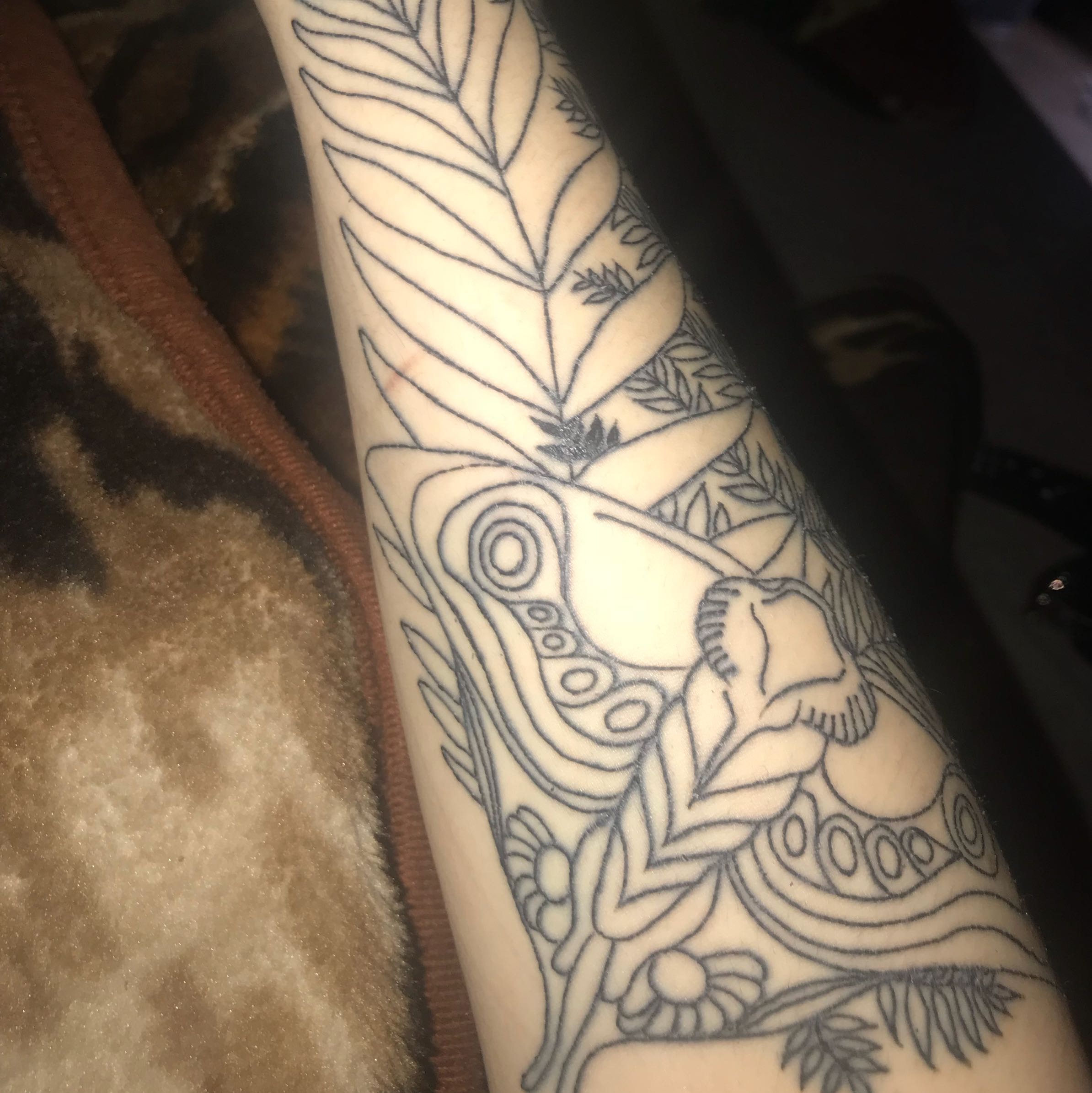 Tatttoo 7 Tage altsieht das normal aus? (Gesundheit und Medizin, Tattoo)
