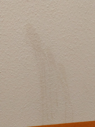 Teefleck Von Der Wand Wegbekommen Chemie Haushalt Ordnung