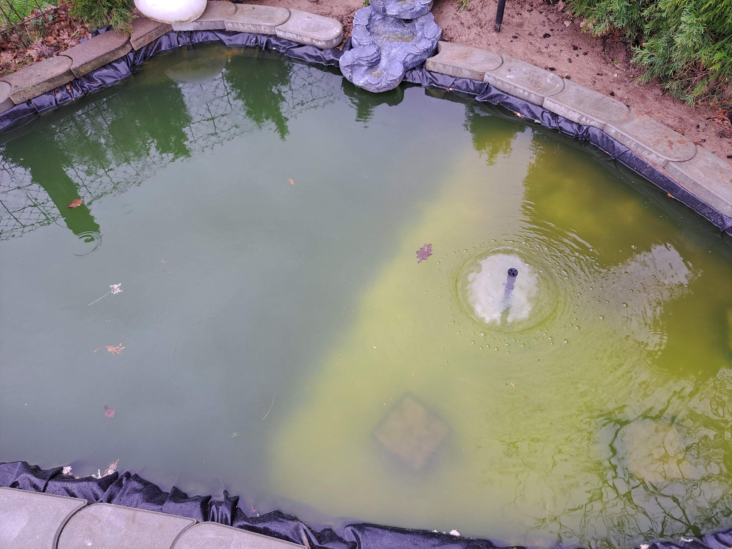 Teich klar nur mit pumpe? (Wasser, Algen, Gartenteich)