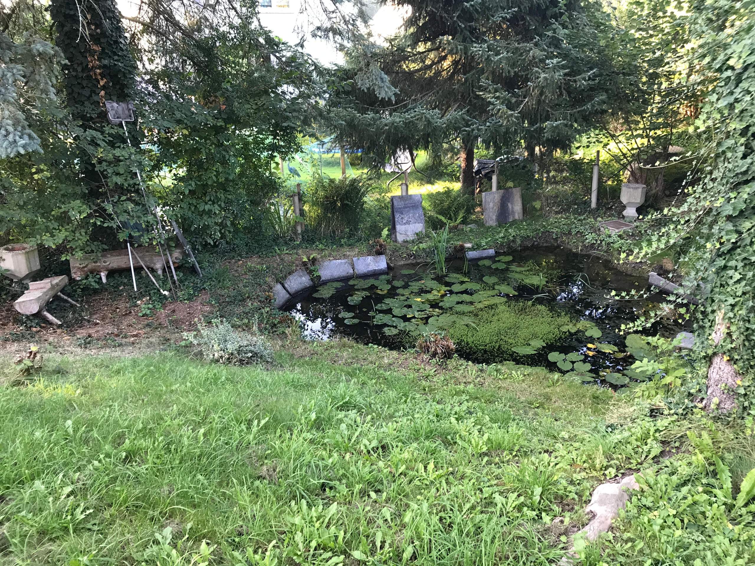 Teich vergrößern am Hang? (Gartenbau, Gartenteich, Landschaftsbau)