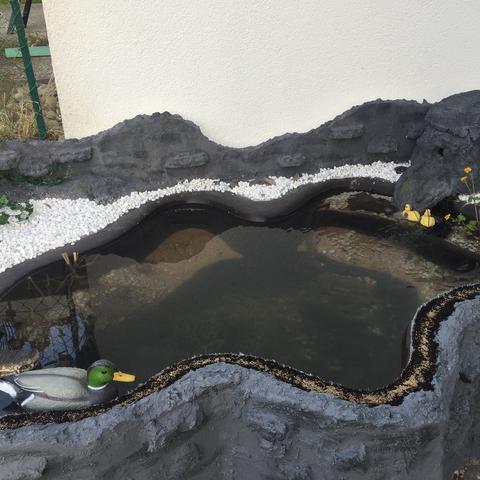 Der Teich - (Fische, Teich, Besatz)