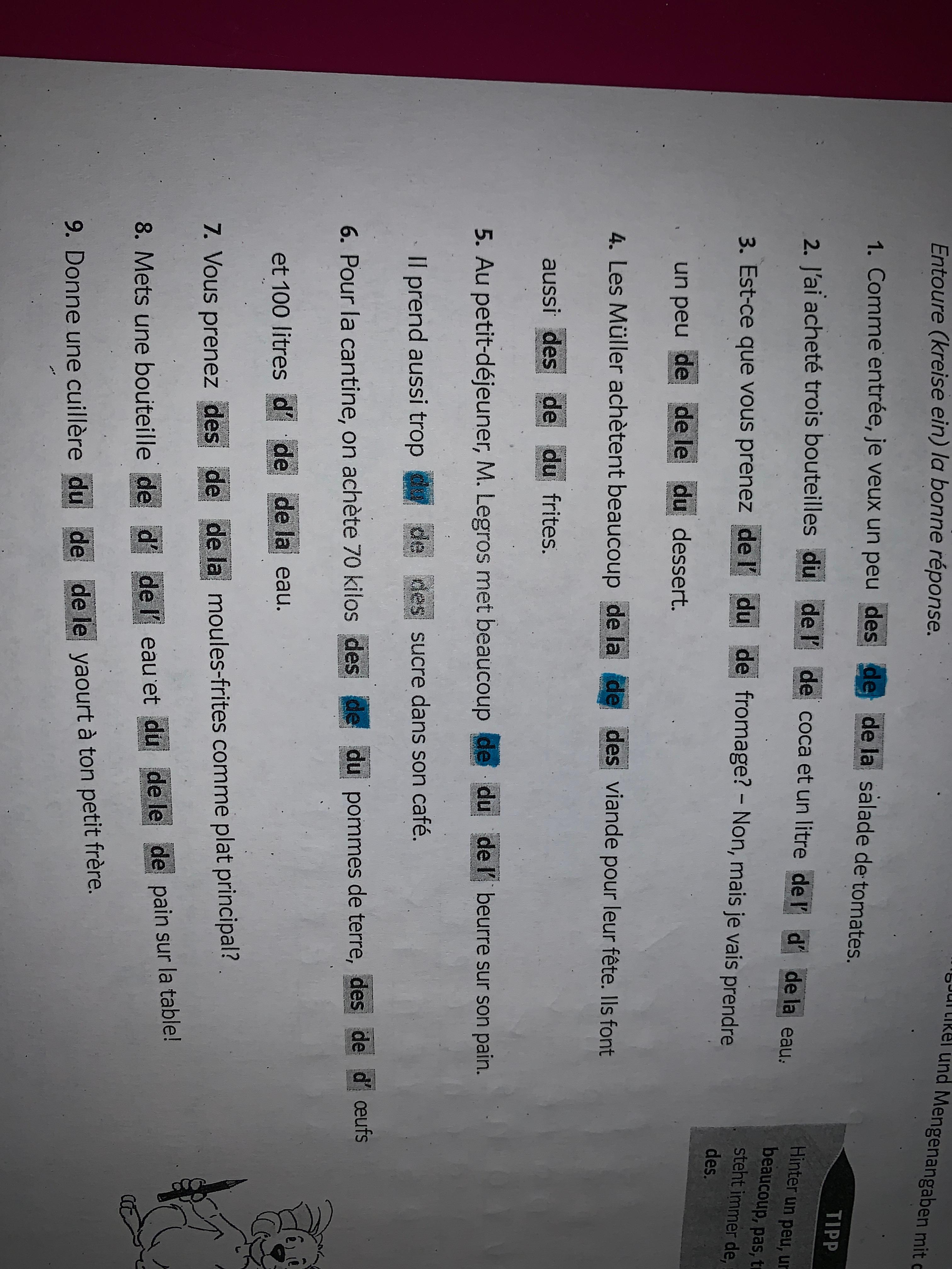 Teilungsartikel Franzosisch Hilfe Schule Sprache Lernen