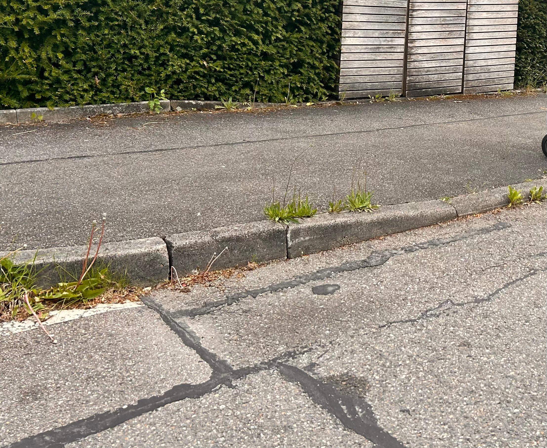 Parken An Abgesenkten Bordstein