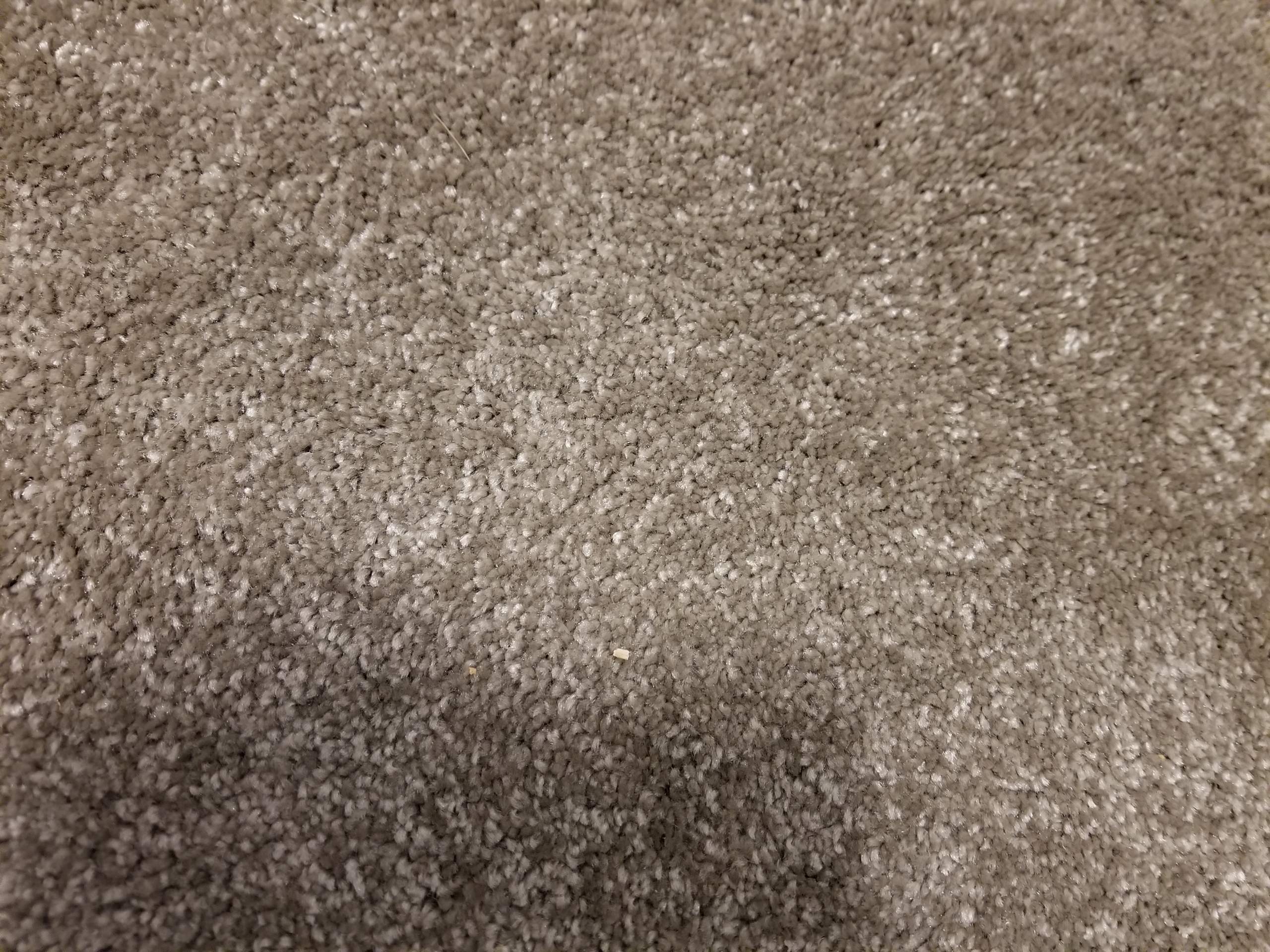 Teppich geföhnt? (Wohnung, Haus, Haushalt)