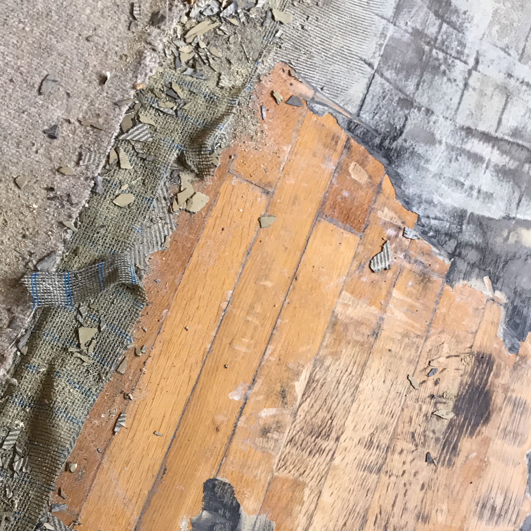 Teppich Kleber Vom Dielenboden Entfernen Holz Renovieren