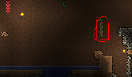 - (wachsen, Terraria)