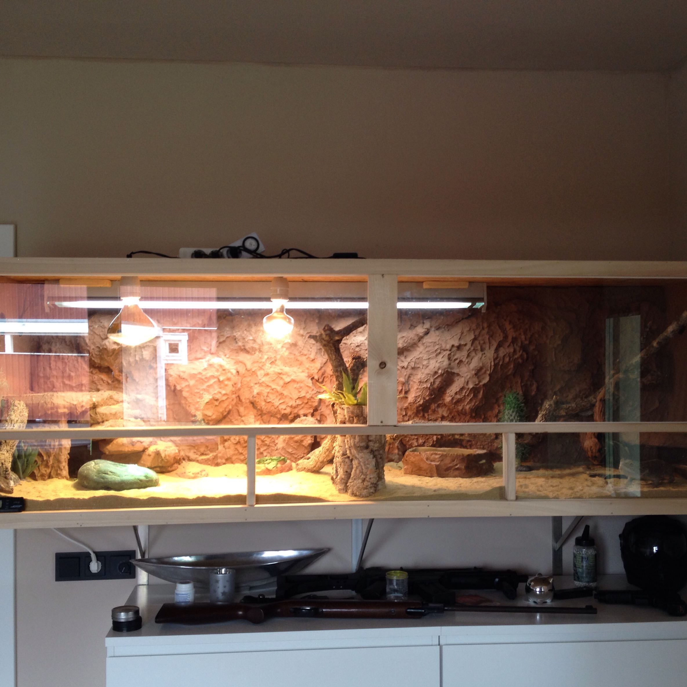 Terrarium bartagame 180 cm mal 60 zu klein? (Größe)