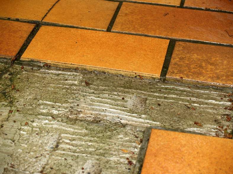 Terrasse Balkon sanieren welcher Unterbau in meinem Fall?Hilfe