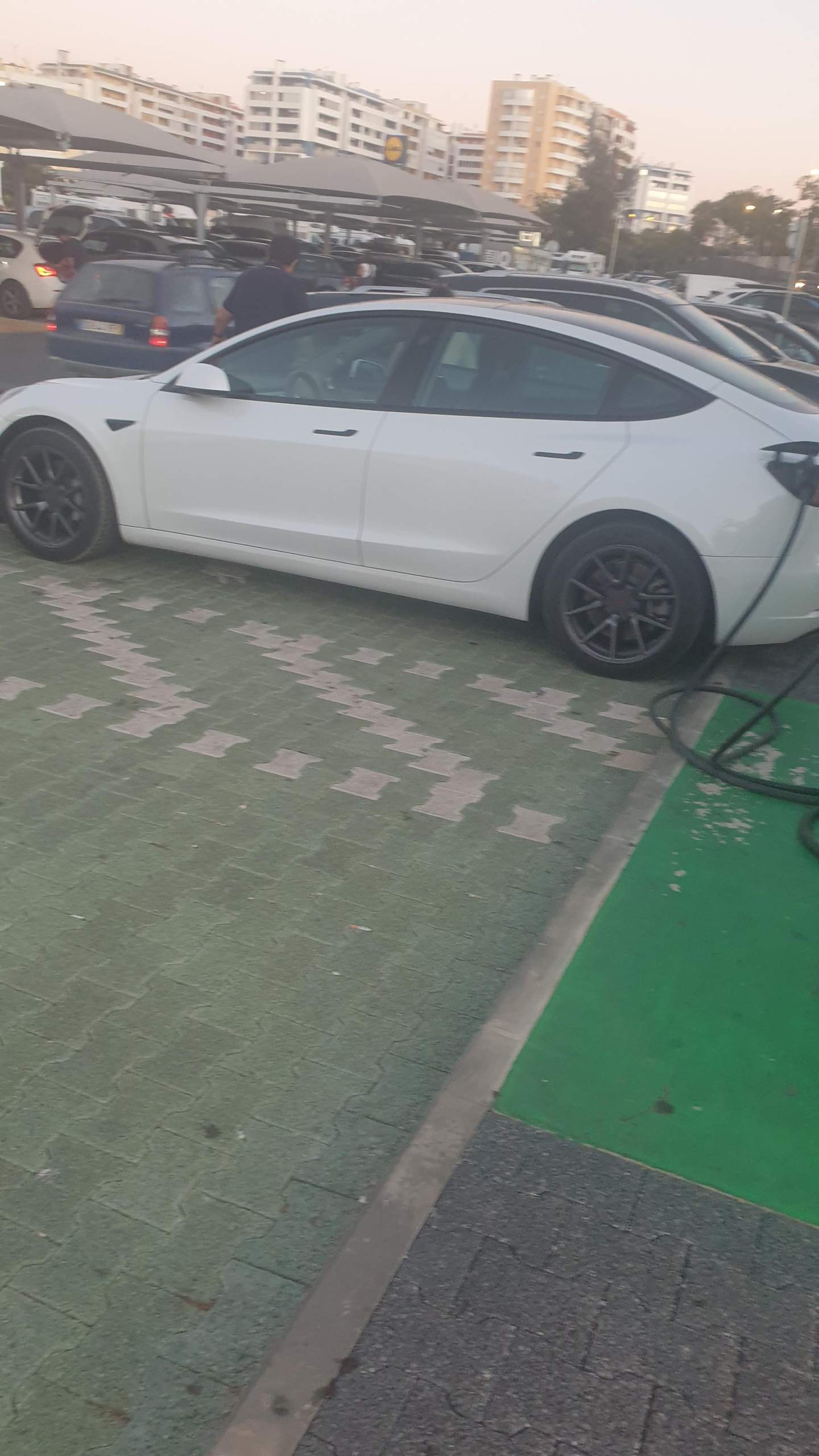 Tesla Model 3 (Standard) oder Long Range? (Elektroauto)