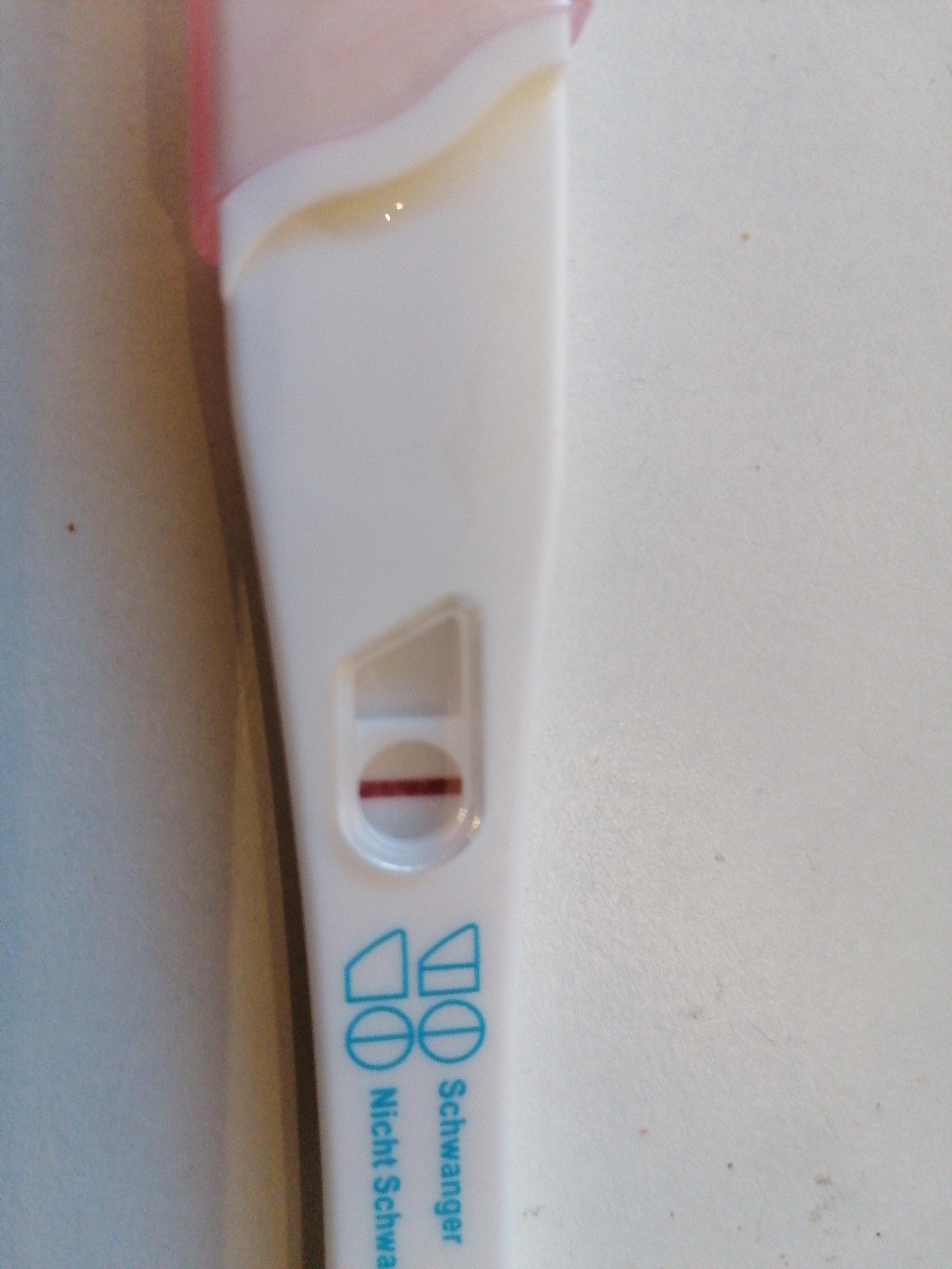 Testamed Schwangerschaftstest negativ oder positiv? (Schwangerschaft Testamed Schwangerschaftstest negativ oder positiv? (Schwangerschaft