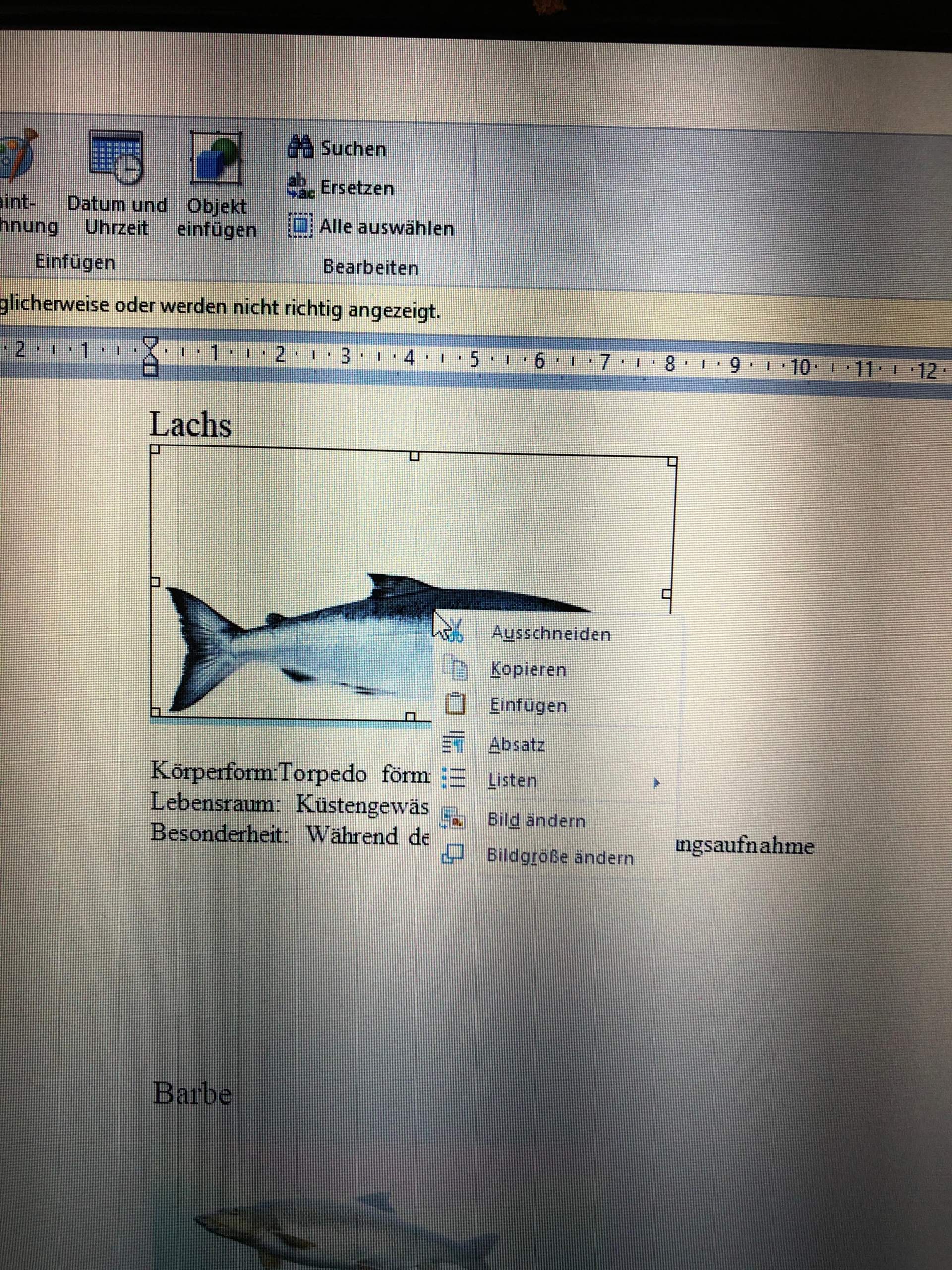 Text neben Bild bei word wie gehts das? Schule) Text neben Bild bei word wie gehts das? Schule)