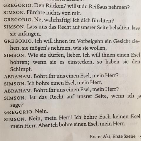 Texterklärung Romeo und Julia (Schule, Buch, lesen)