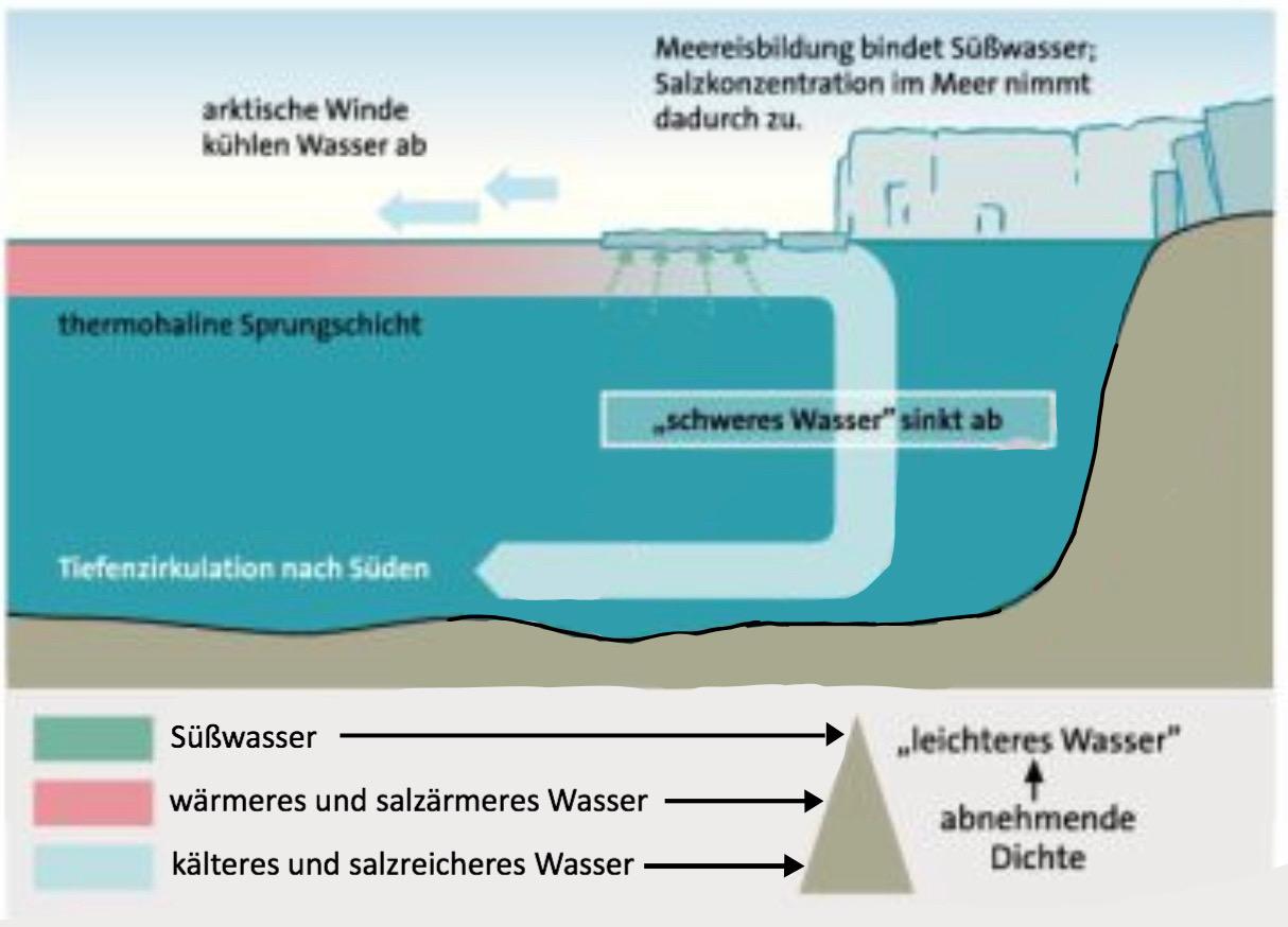 Thermohaline Konvektion in der Arktis? (Geografie, süsswasser)