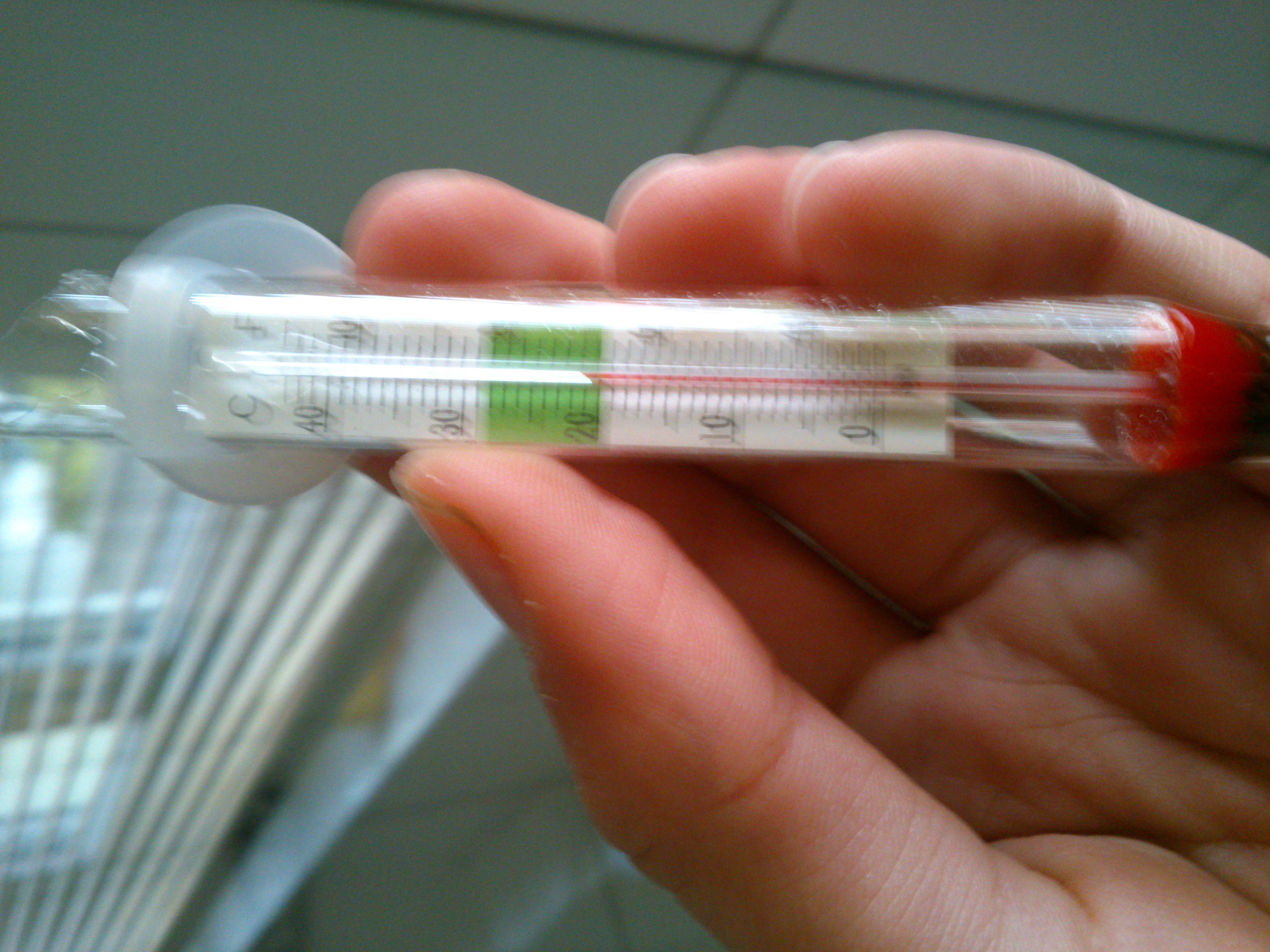 Thermometer zerbrochen!? (Gesundheit, Meter, Thermo)