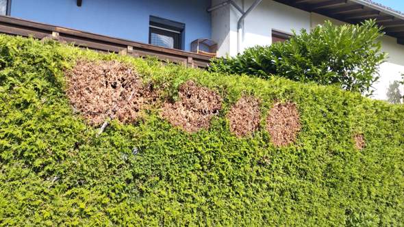 Bild zum Beitrag