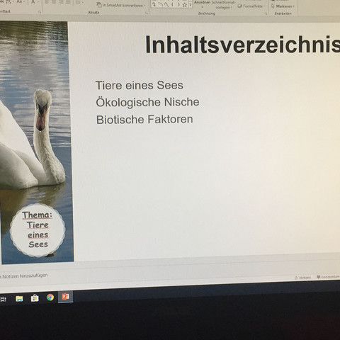 Schrift und alles wird noch bearbeitet - (Schule, Tiere, Biologie)