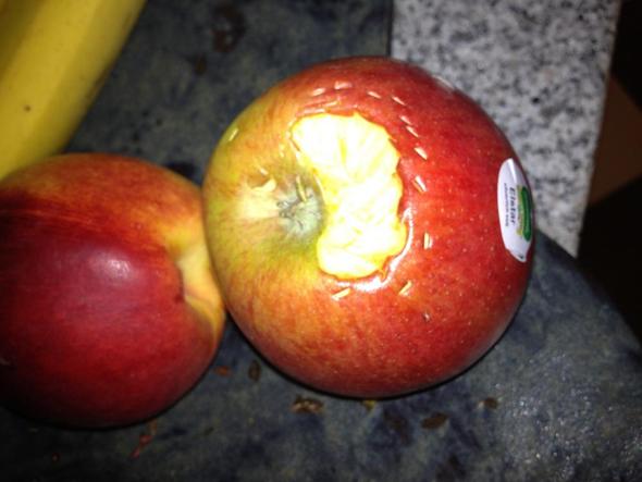 Bissspuren am Apfel erkennbar - (Tiere, Küche, Banane)