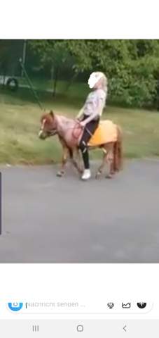 Tierqualerei Oder Nicht Bin Ratlos Tiere Tierarzt Pony